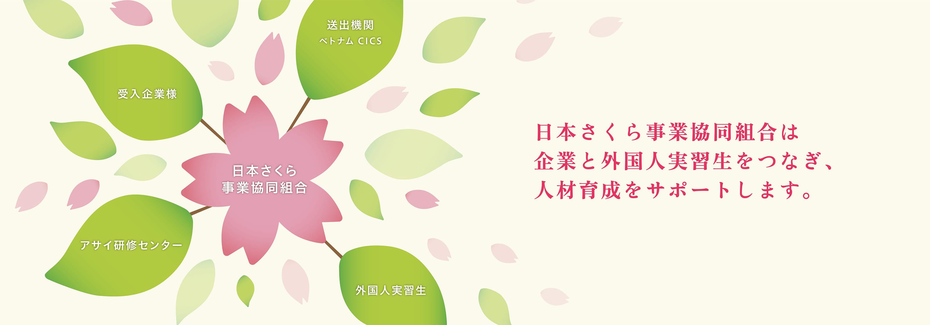 日本さくら事業協同組合は企業と外国人実習生をつなぎ、人材育成をサポートします。